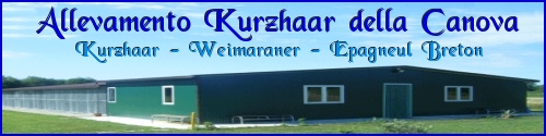 Kurzhaar della Canova